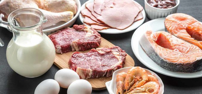 Protein cho võ sĩ: Có nhất thiết cần thịt, cần whey để chiến thắng? - Ảnh 1. Protein cho võ sĩ: Có nhất thiết cần thịt, cần whey để chiến thắng? - Ảnh 1.