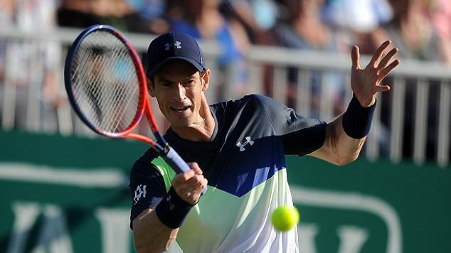 Andy Murray bỏ ngỏ khả năng tham dự Wimbledon