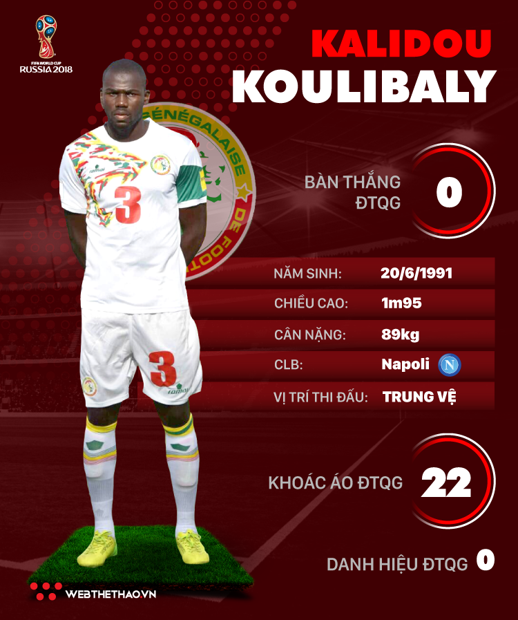 Thông tin cầu thủ Kalidou Koulibaly của ĐT Senegal dự World Cup 2018 - Ảnh 1. Thông tin cầu thủ Kalidou Koulibaly của ĐT Senegal dự World Cup 2018 - Ảnh 1.