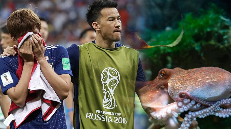 Nhật Bản thua cay đắng tuyển Bỉ và bị loại khỏi World Cup vì chót... làm thịt "tiên tri bạch tuộc"?