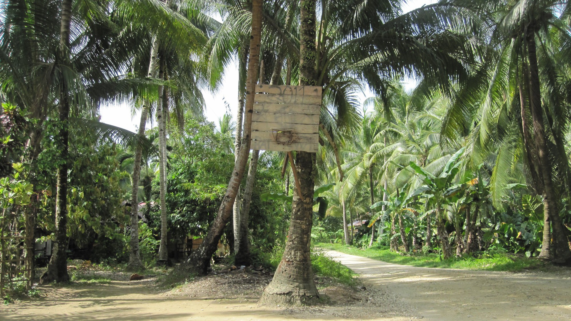 Bóng rổ Philippines (phần 1): Phát triển từ cuối thế kỷ 19