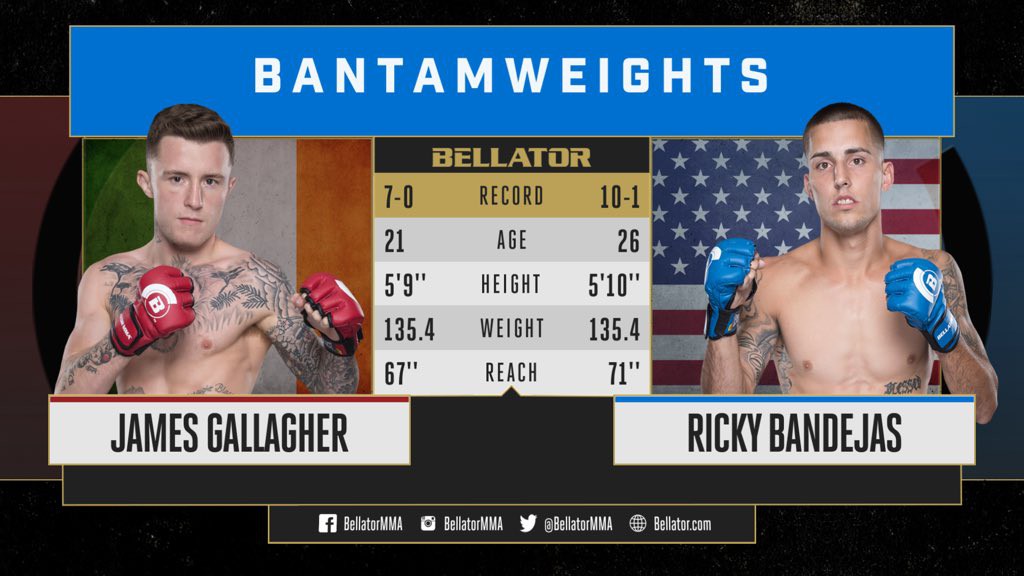 Sư đệ của Conor McGregor đứt mạch bất bại khi bị knockout tại Bellator 204 - Ảnh 1. Sư đệ của Conor McGregor đứt mạch bất bại khi bị knockout tại Bellator 204 - Ảnh 1.