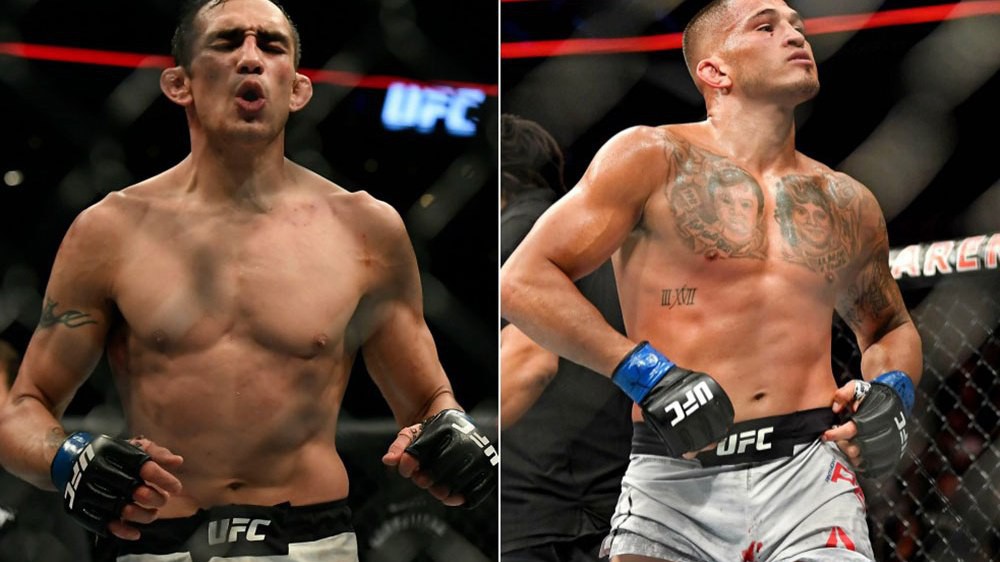 Tony Ferguson vs. Anthony Pettis chính thức tại UFC 229