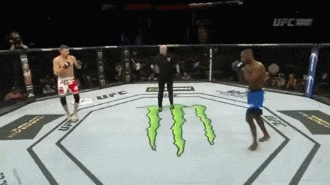 Top 8 cú knockout nhanh nhất lịch sử UFC (Phần 1)