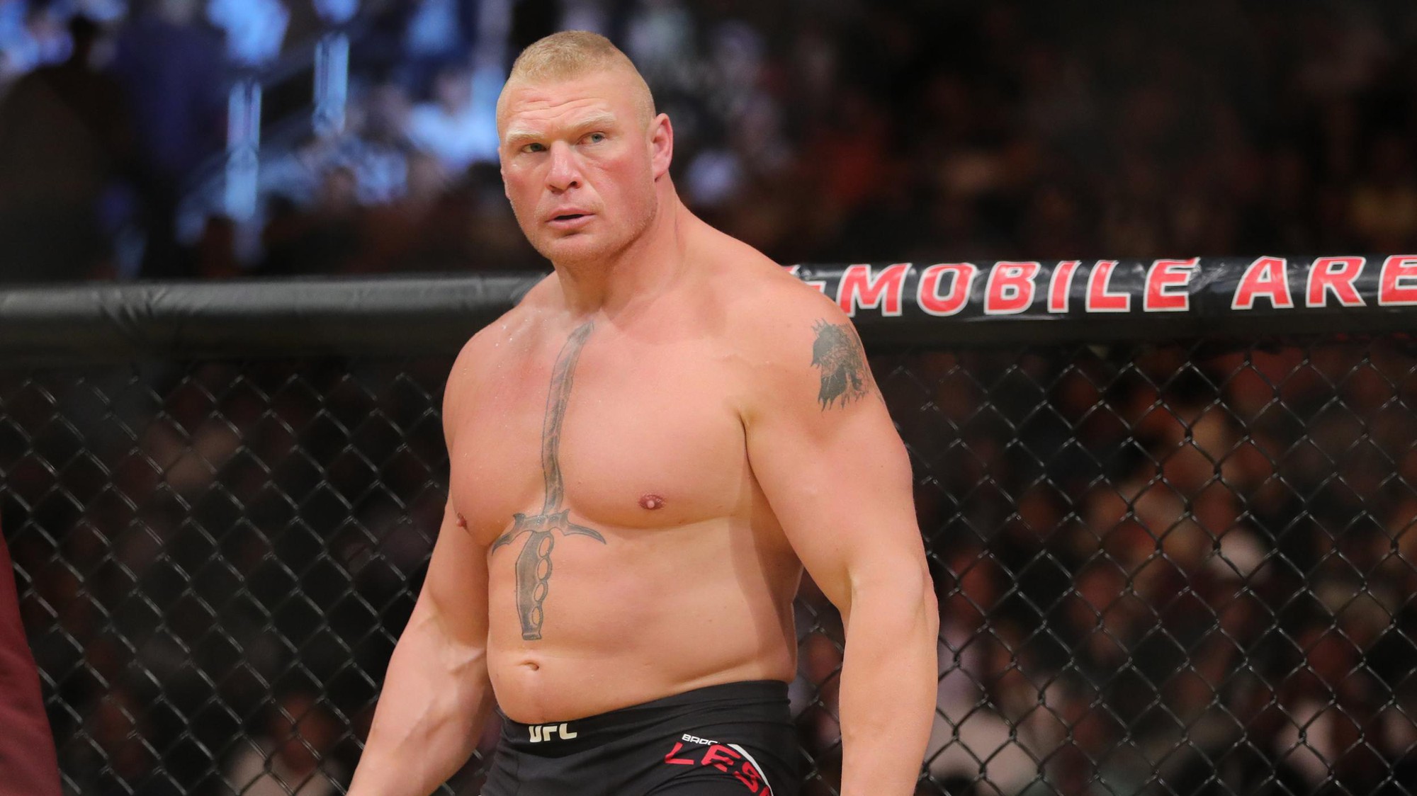 Một kết quả kiểm tra doping của Brock Lesnar "biến mất" trên thống kê, USADA nói gì?