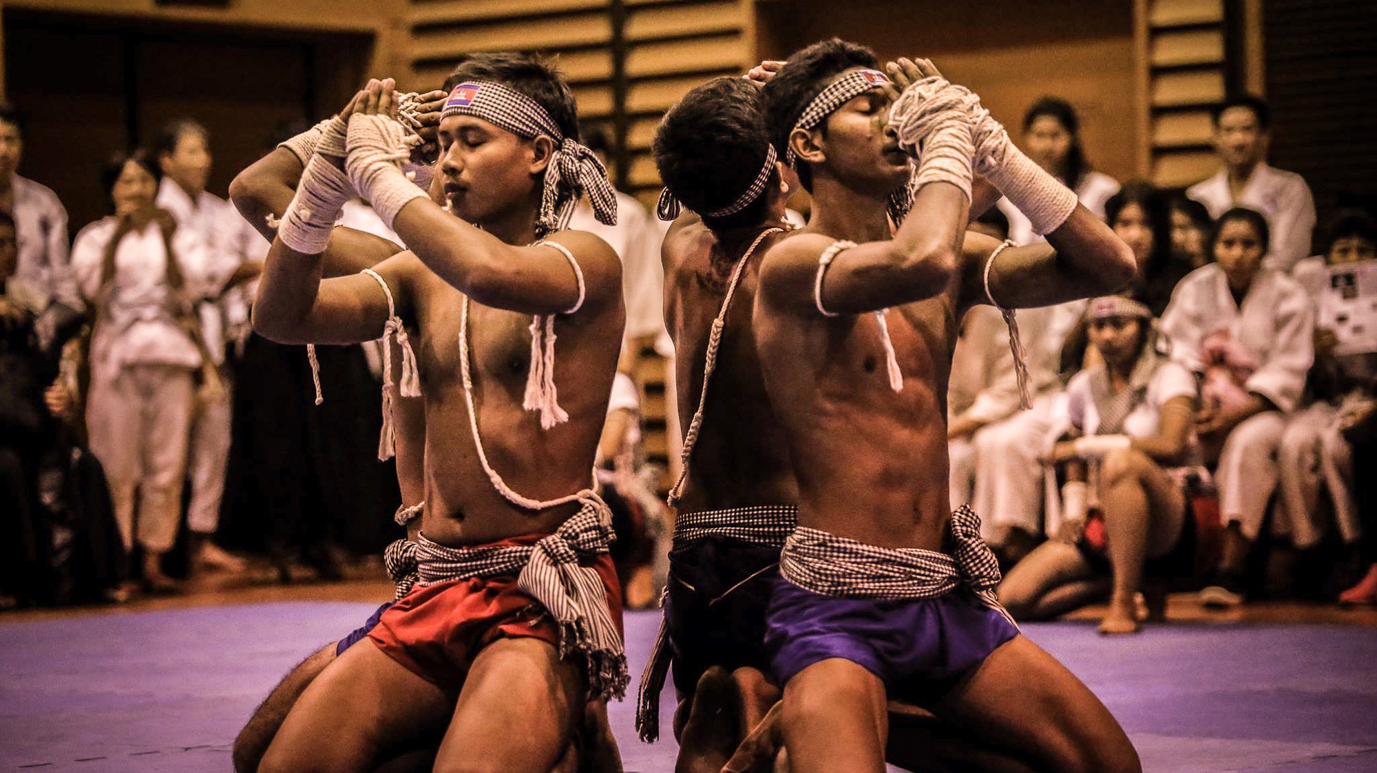 Điều gì khiến Bokator sống lại giữa thời đại MMA?