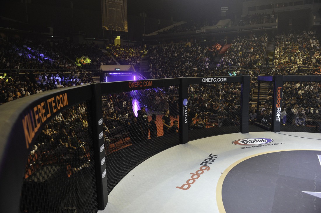 Vì sao ONE Championship sử dụng lồng đấu tròn? - Ảnh 3. Vì sao ONE Championship sử dụng lồng đấu tròn? - Ảnh 3.
