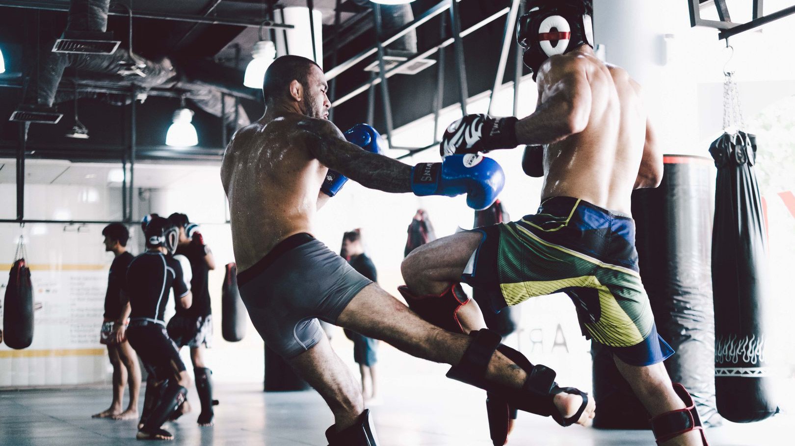 Sparring - liều thuốc thần trong võ thuật đối kháng