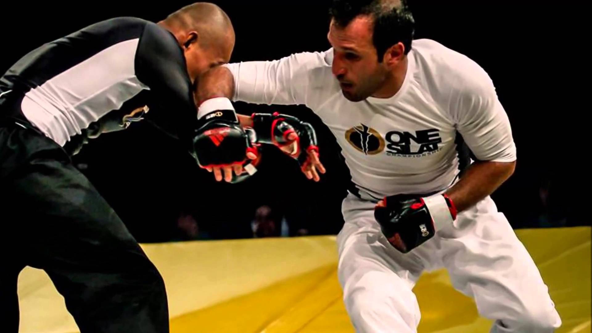 Vovinam - tại sao không phải MMA cho người Việt? - Ảnh 2. Vovinam - tại sao không phải MMA cho người Việt? - Ảnh 2.
