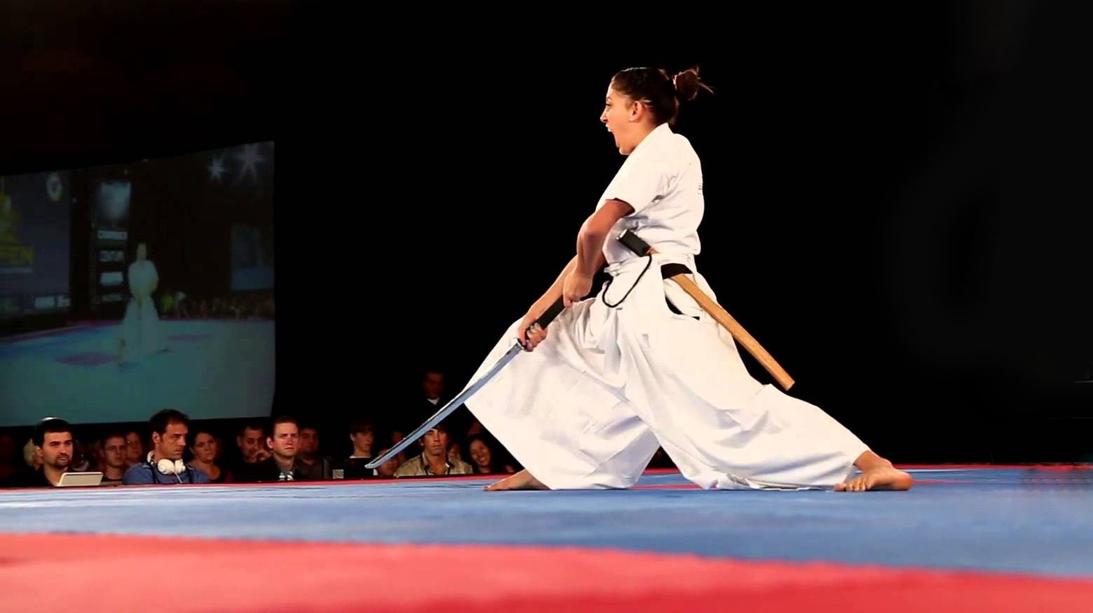 Có thể bạn không biết: Kickboxing cũng có... võ nhạc