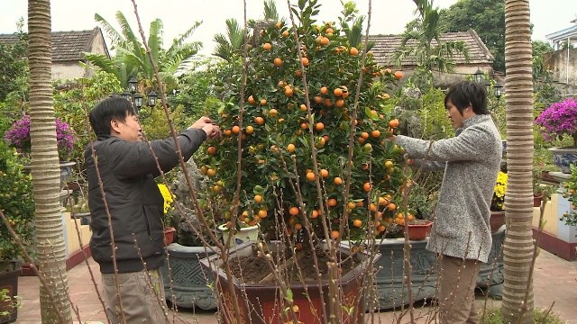 Tuấn Anh làm gì trong ngày Tết?