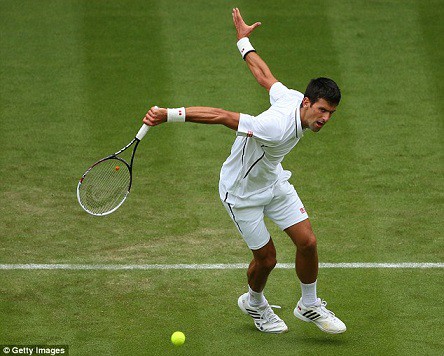 Novak Djokovic thay đổi thói quen để phục hận mùa sân cỏ 2017
