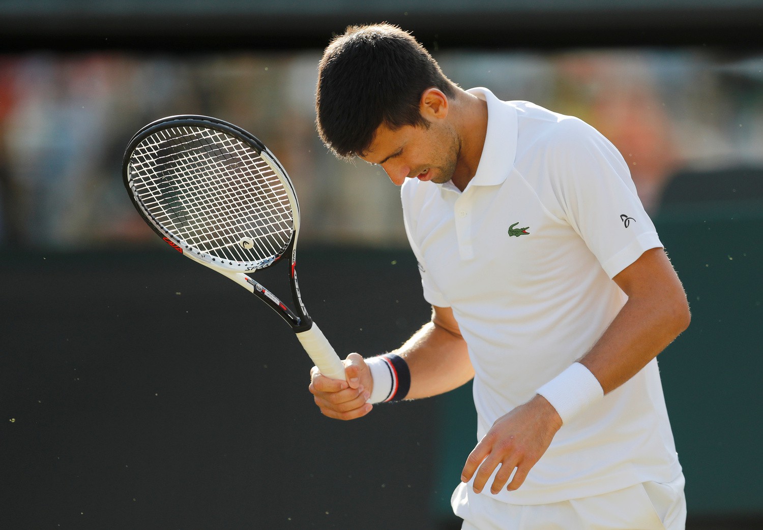 Novak Djokovic gần như hết cơ hội dự US Open