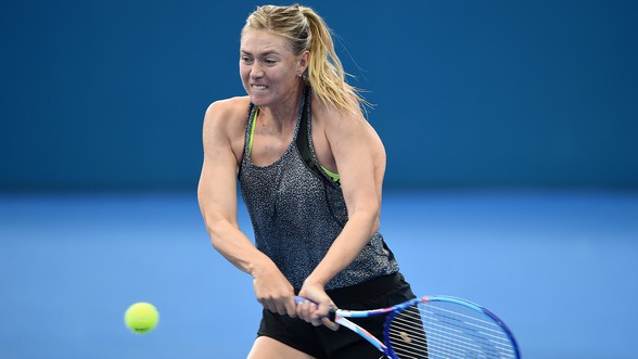 Sharapova bỏ giải Brisbane International