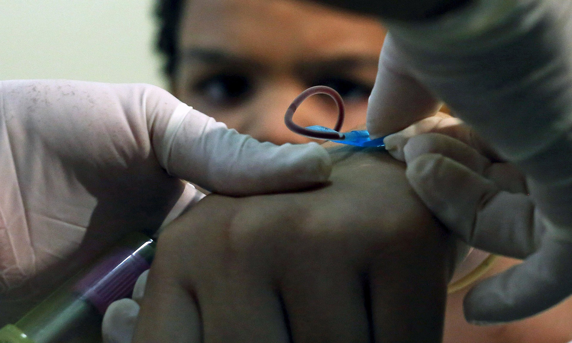 Virus Zika đe dọa Olympic 2016