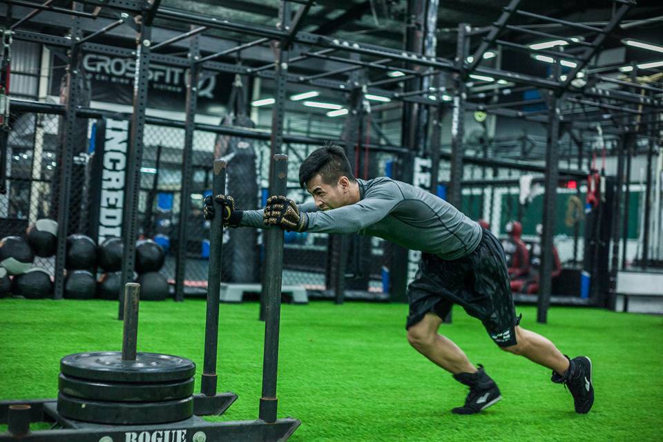 tran van thao