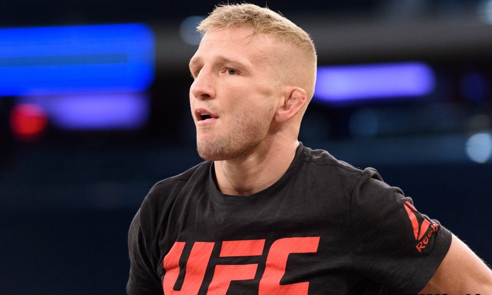 Bản tin MMA 11/4: Dillashaw: "Mighty Mouse" quá sợ để thượng đài!