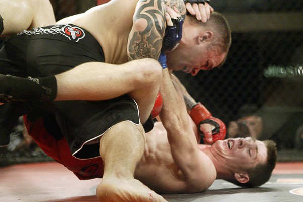 Chàng “nấm lùn” mét rưỡi tham gia Bellator