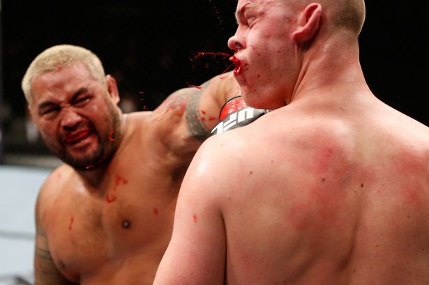 Mark Hunt có khả năng sẽ tham dự UFC 200?