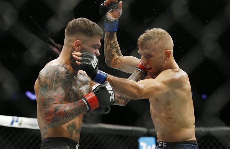 Mâu thuẫn giữa Dillashaw và Garbrandt vẫn nóng sau UFC 217