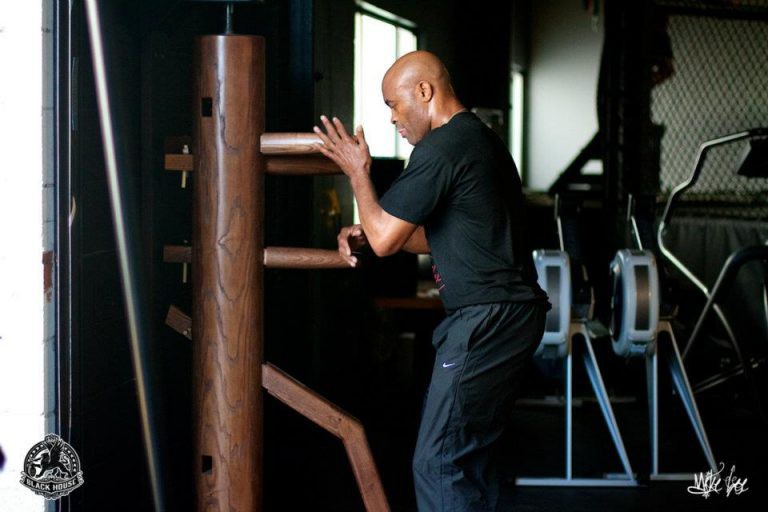 anderson silva