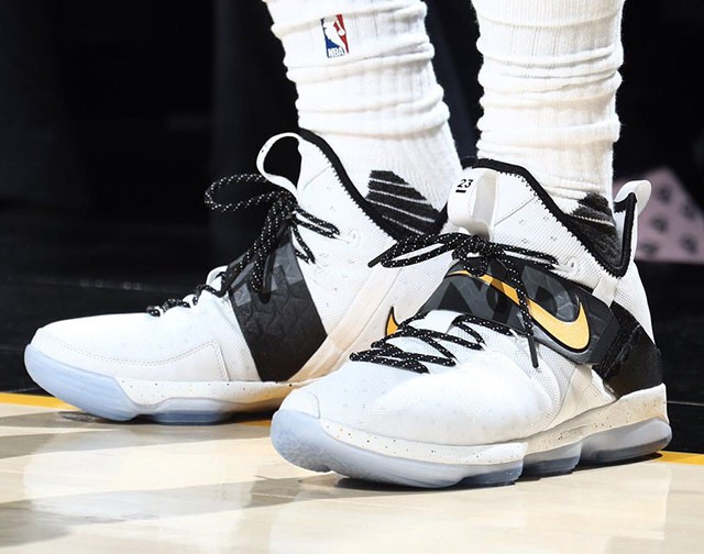 Nike LeBron 14 &ldquo;The Land&rdquo; PE