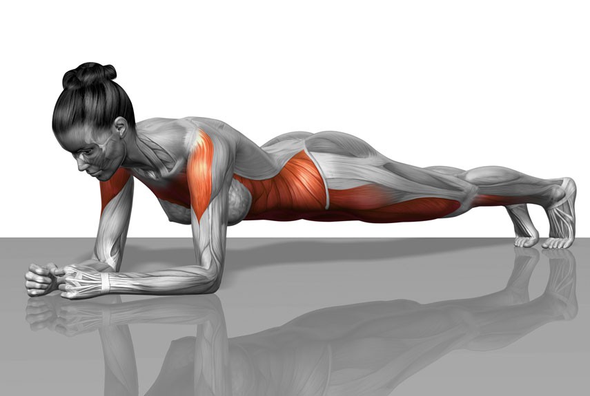 Hoàn thành thử thách plank 5 phút trong 30 ngày