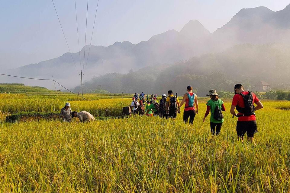 Vừa chạy vừa ngắm c&aacute;c hoạt động thường nhật của b&agrave; con địa phương v&agrave;o đ&uacute;ng vụ m&ugrave;a l&agrave; trải nghiệm đ&aacute;ng gi&aacute; m&agrave; kh&ocirc;ng phải kh&aacute;ch du lịch n&agrave;o cũng c&oacute; cơ hội c&oacute; được