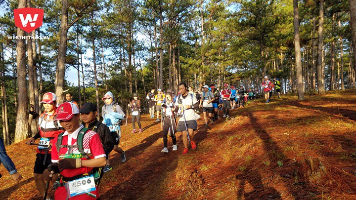 Đường chạy rất sạch đẹp ở Đà Lạt Ultra Trail 2018 Đường chạy rất sạch đẹp ở Đà Lạt Ultra Trail 2018