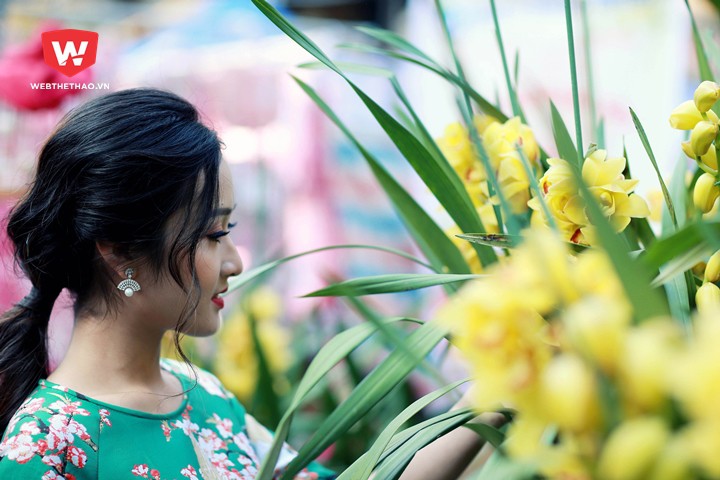 Khánh Linh Khánh Linh