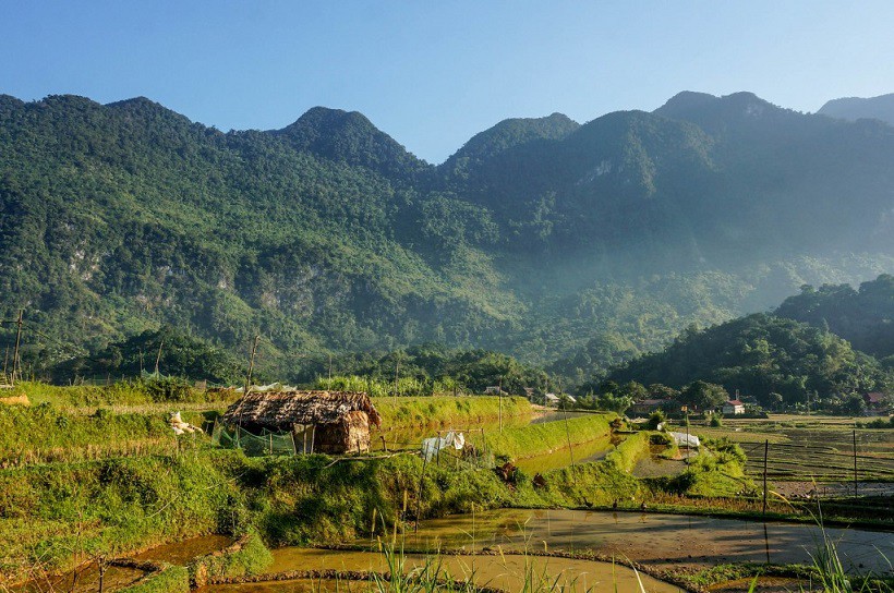 Việt Nam thêm giải chạy trail "hành xác" xuyên rừng già Pù Luông