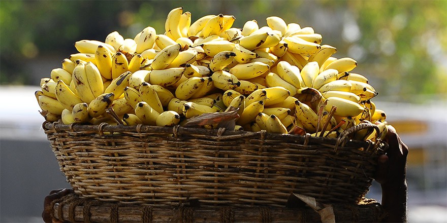 Ăn nhiều chuối phòng chống chuột rút
