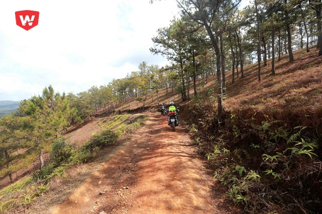 Các runner tham dự Đà Lạt Ultra Trail 2018 sẽ có cơ hội hiếm có được đắm mình với thiên nhiên hoang sơ... Các runner tham dự Đà Lạt Ultra Trail 2018 sẽ có cơ hội hiếm có được đắm mình với thiên nhiên hoang sơ...