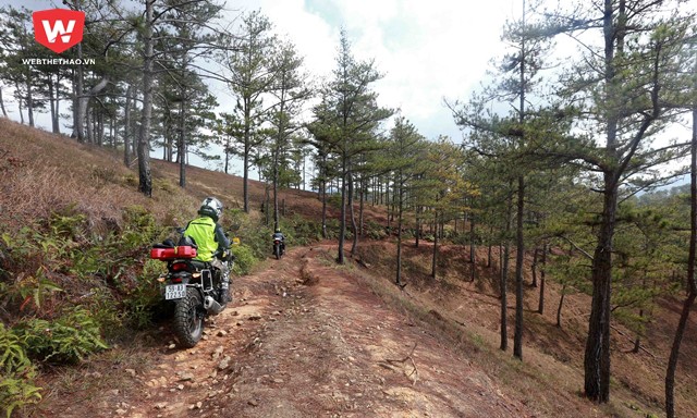 Mục kích đường chạy Đà Lạt Ultra Trail 2018