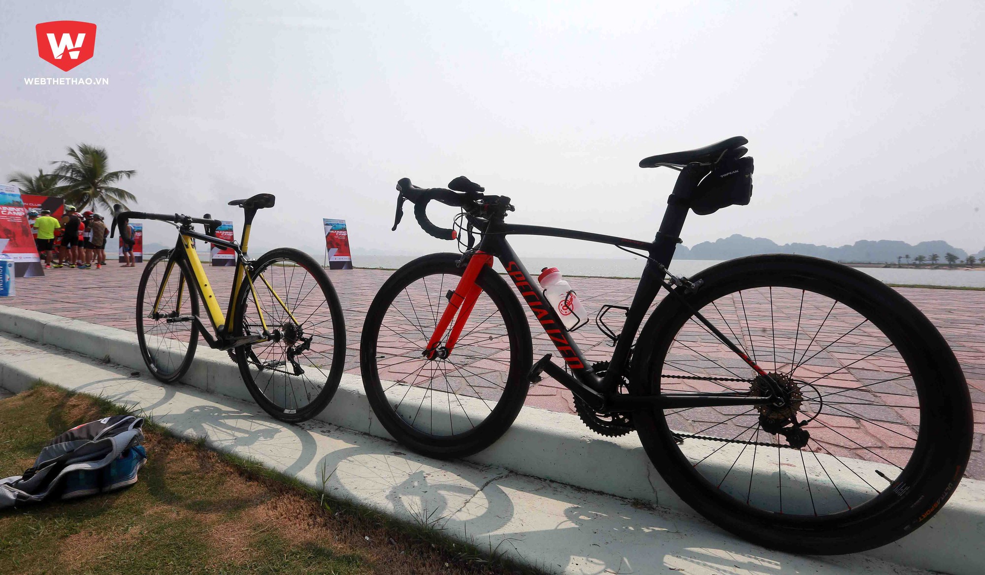 Những "chiến mã" ngàn đô tại Halong Training Camp 2018