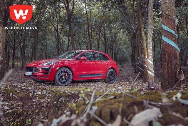 Trải nghiệm đẳng cấp của Porsche Macan tại Hà Nội và Tp. HCM