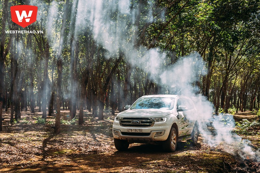 doanh-so-ford-thang-5