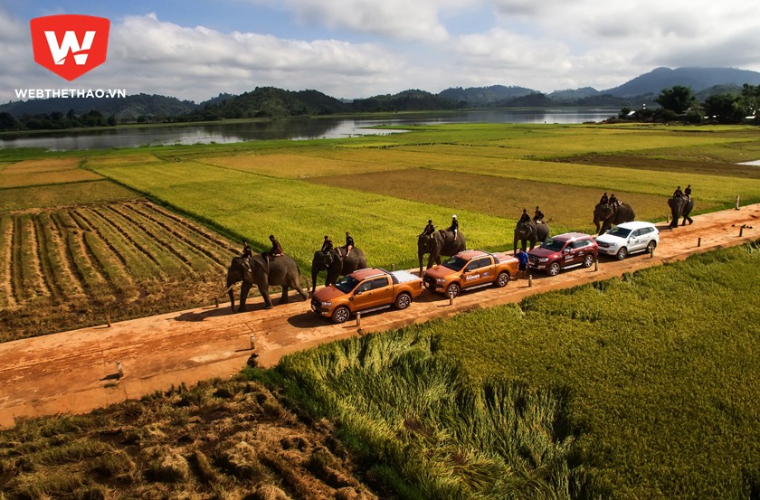 Bán tải Ranger tiếp tục là "gà đẻ trứng vàng" cho Ford Việt Nam