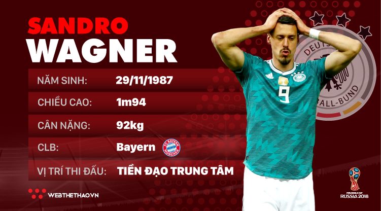 Thông tin cầu thủ Sandro Wagner của ĐT Đức dự World Cup 2018