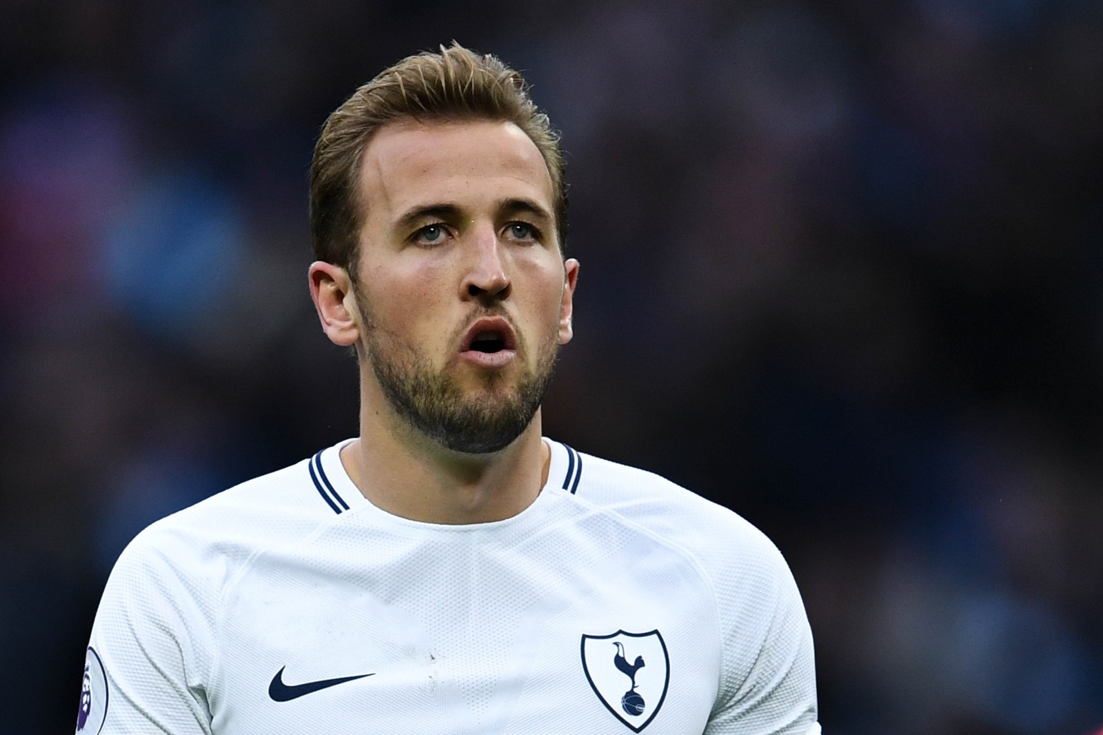 Harry Kane là mục tiêu số 1 của Real Madrid Hình ảnh: Harry Kane là mục tiêu số 1 của Real Madrid
