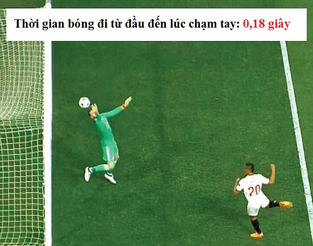 Phản xạ trong tích tắc... Hình ảnh: Phản xạ trong tích tắc...
