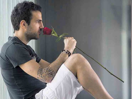 Yêu phụ nữ phải như Cesc Fabregas