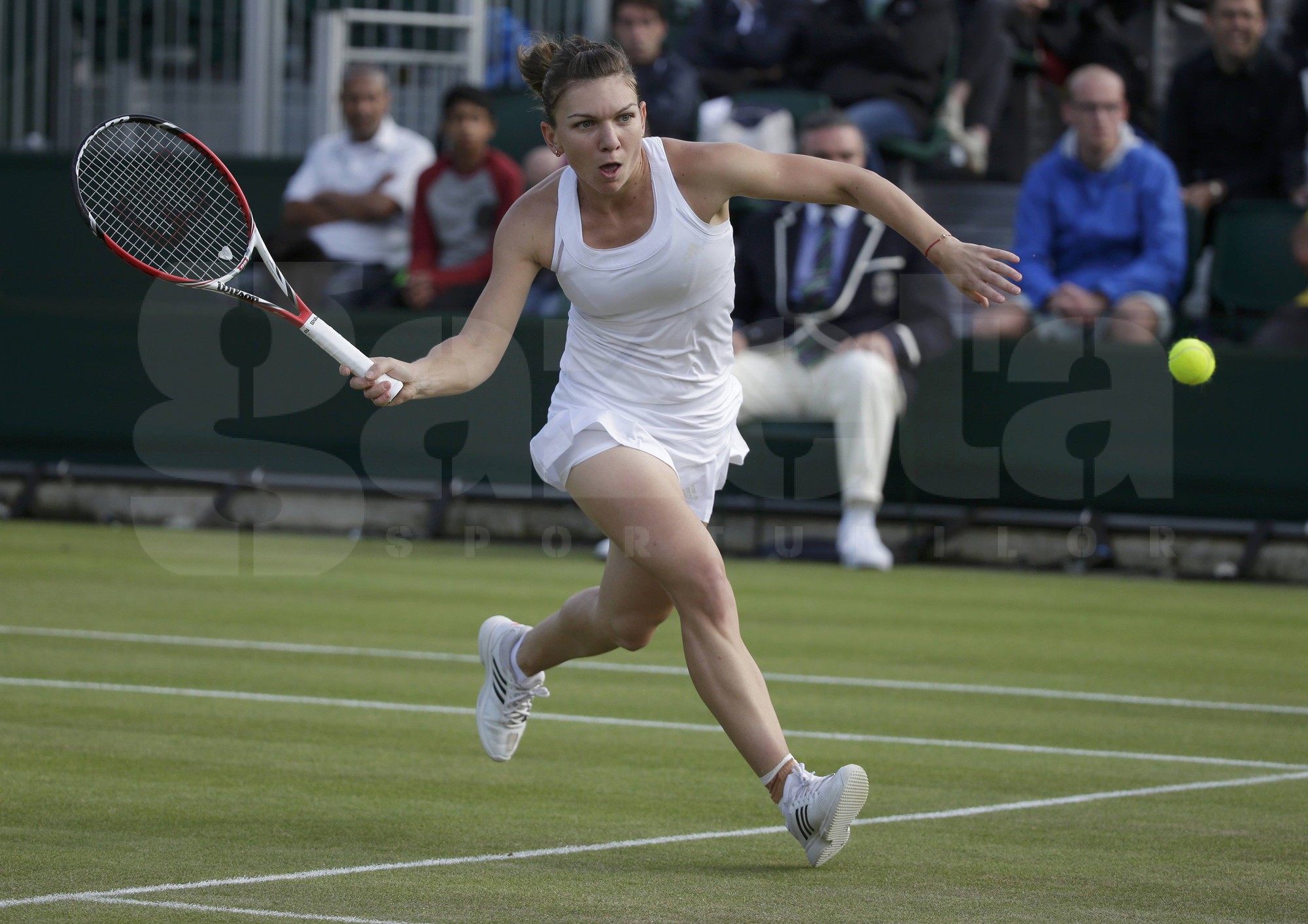 Vòng 4 đơn nữ Wimbledon 2014: Lần đầu tiên của Halep