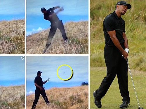 Vòng 1 giải golf US Open: Tiger Woods thua golf thủ tuổi teen