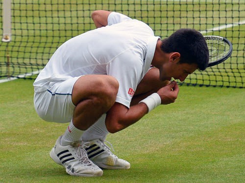 Bên lề Wimbledon 2015: Nole ăn cỏ như ăn kiêng
