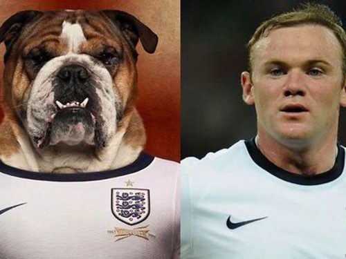Sao bóng đá và chú khuyển: Mặt bulldog và tinh thần bulldog