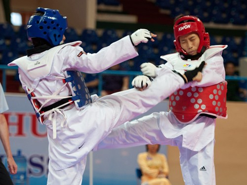 TTVN: Những môn nào hy vọng giành suất Olympic?