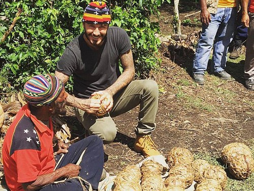Becks làm bóng bằng... lá chuối