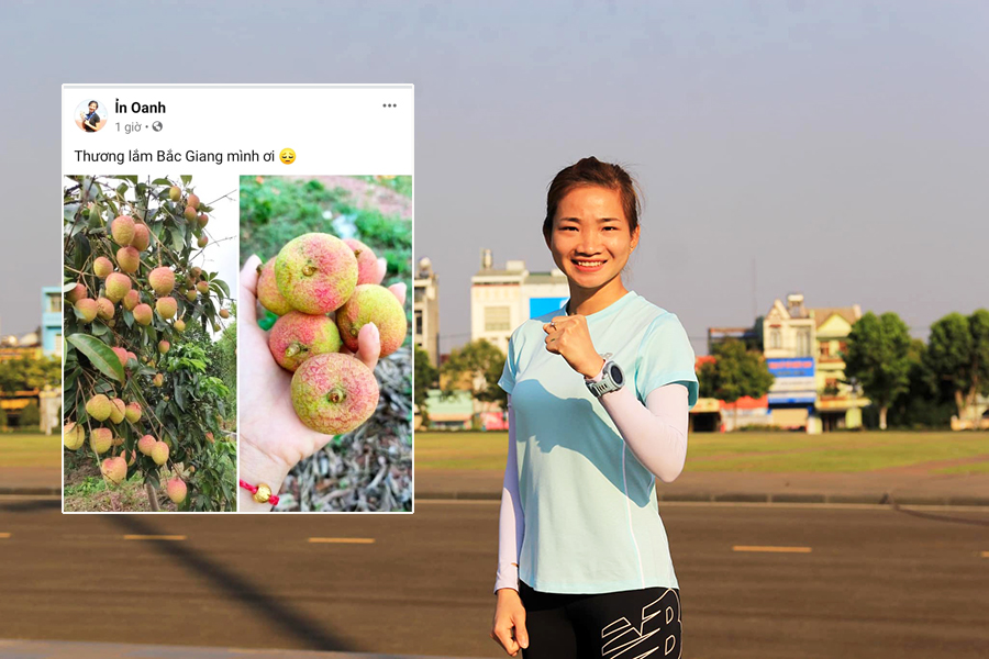 Gia đình Nguyễn Thị Oanh được cộng đồng “giải cứu vải” mùa dịch COVID-19